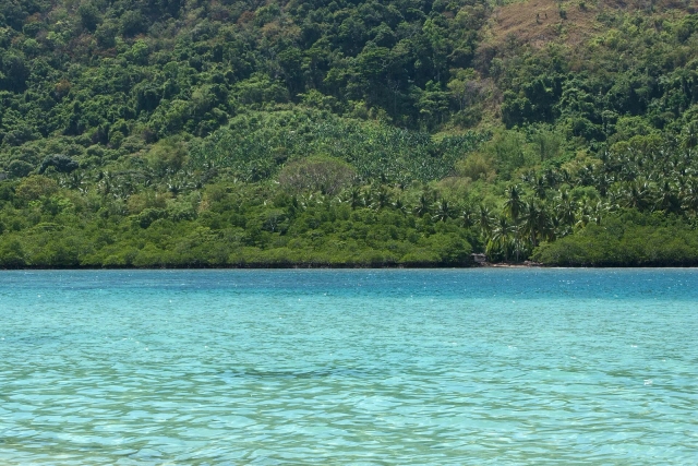 Turquoise water against the dense palm shoreline of El Nido Bay