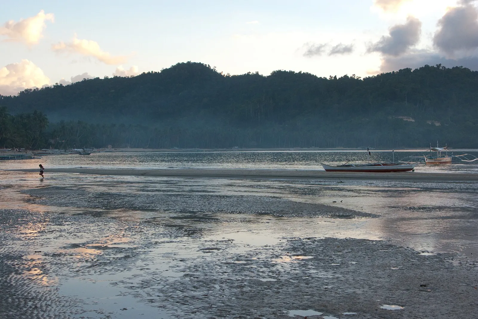 Tidal flats at dusk with a sandbar, outrigger boats and forested hills at Port Barton, San Vicente