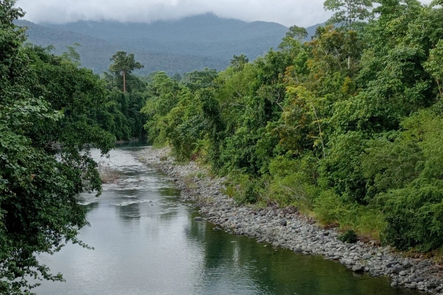 Calm jungle river with stony banks and cloud-capped mountains near the Iwahig River, Puerto Princesa