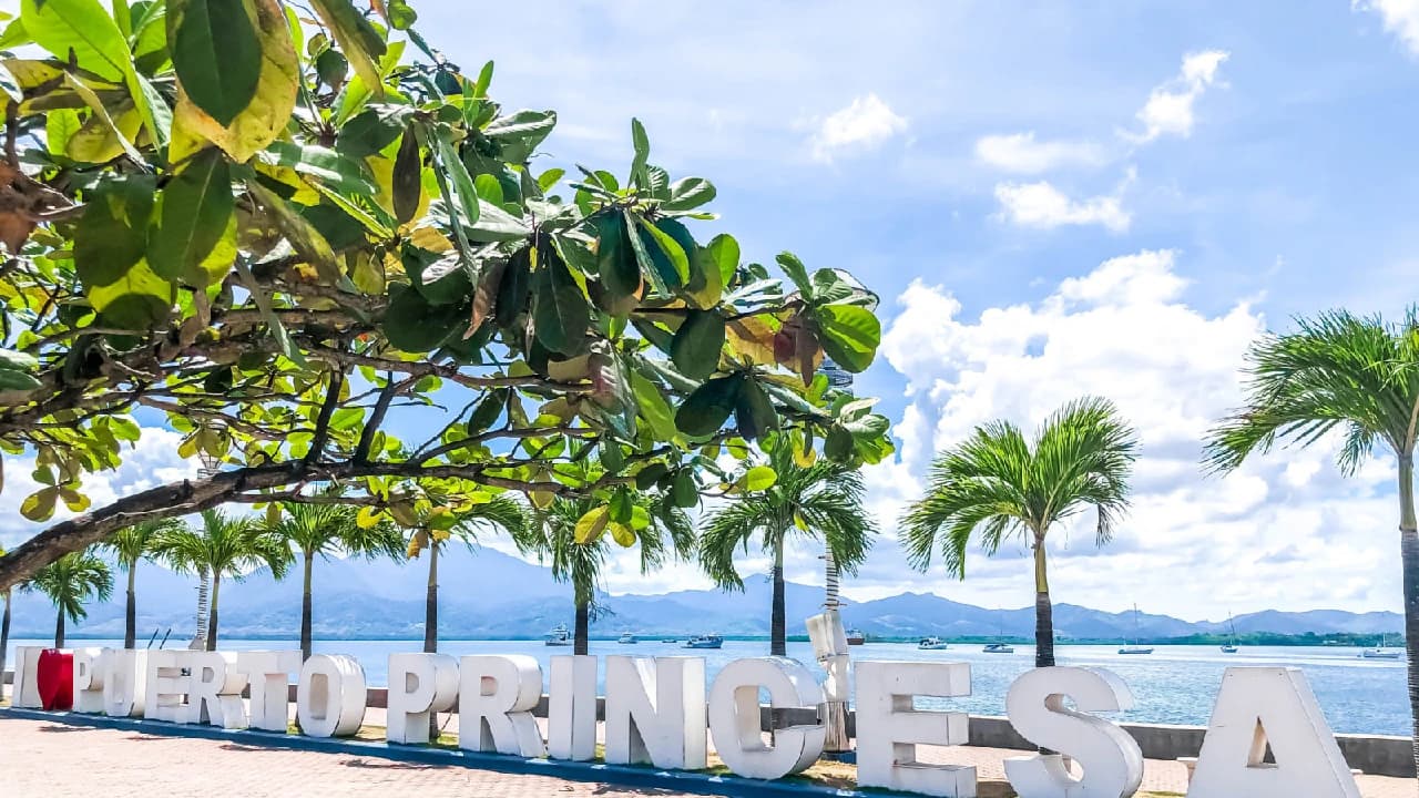 Joining Afternoon Puerto Princesa City Tour - Transportation in Palawan