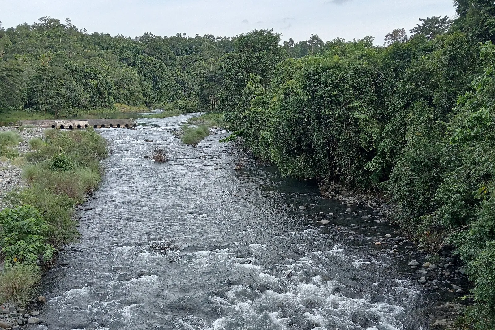 Rocky rapids on the wide Iwahig River with dense forest banks near Puerto Princesa
